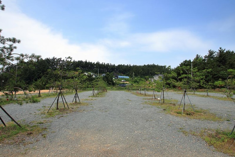 서해땅끝파도리아치내캠핑장 시설 사진 7
