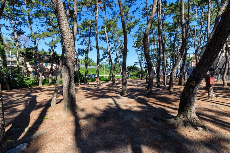 송림오토캠핑장 시설 사진 4