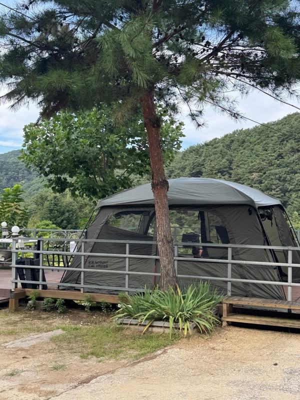 횡성 캠핑장 벳소캠프 9번 사이트