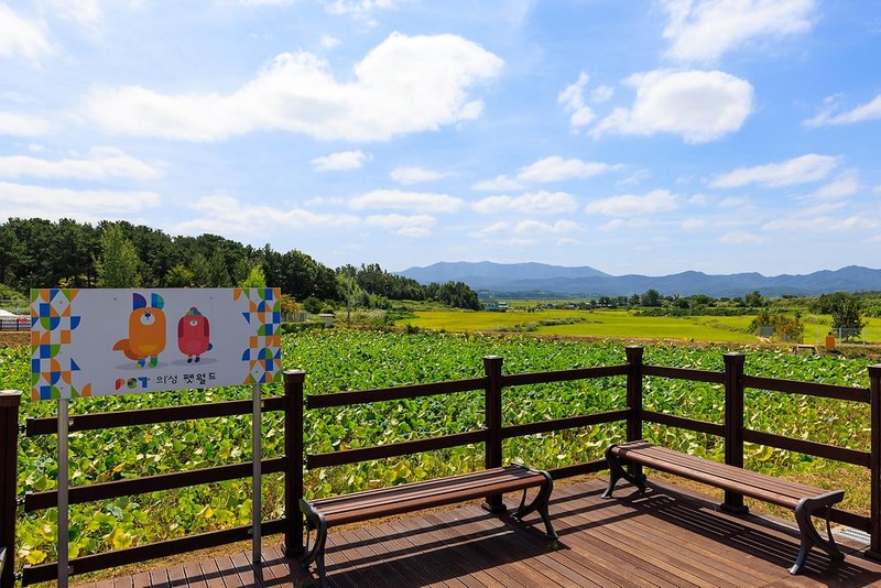 의성펫월드 오토캠핑장 시설 사진 18