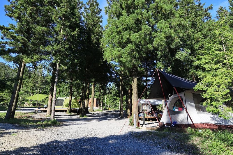 윤제림오토캠핑장 시설 사진 18