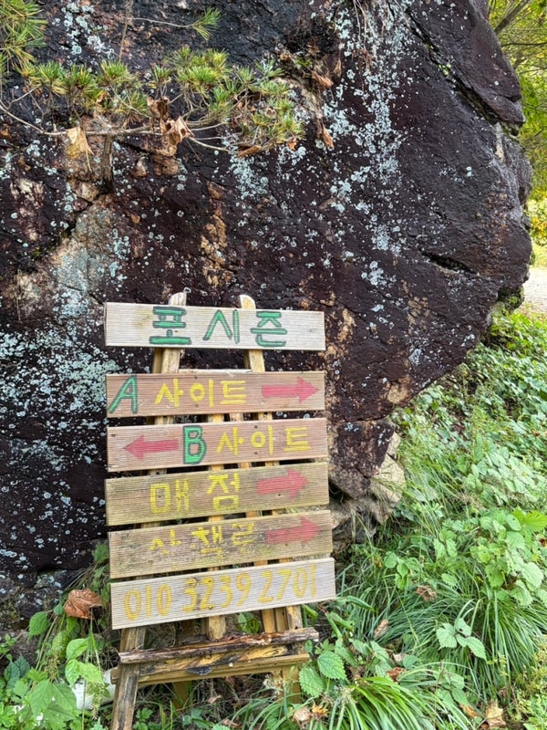 캠핑)가평 포시즌캠핑장(가을캠핑 놀거리 캠핑요리)