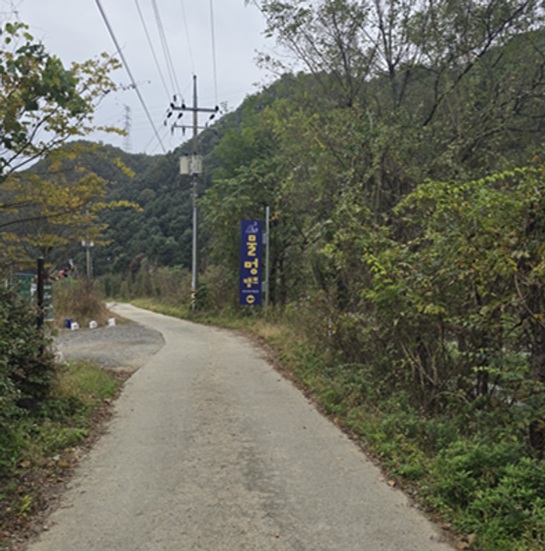 64번째 가평 물멍캠프 25.10.24