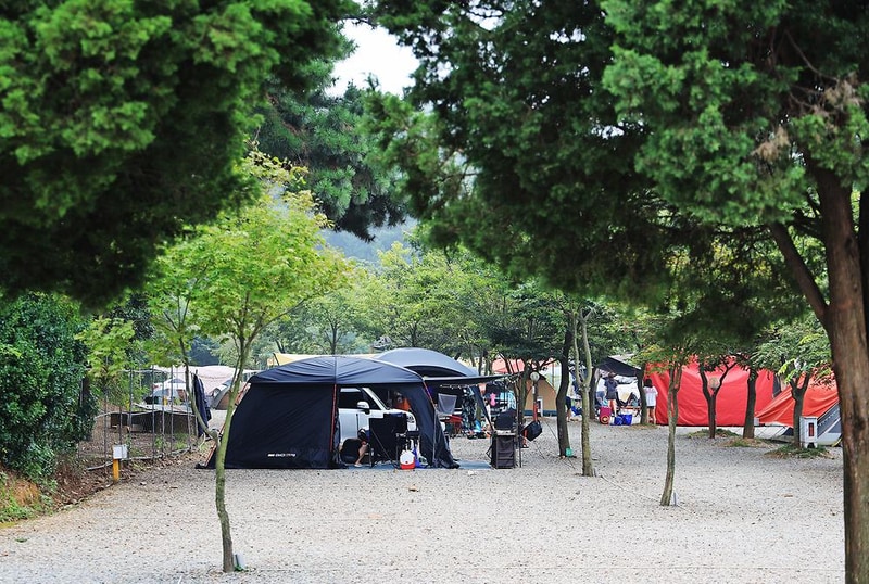 대부도나라캠핑장 시설 사진 10