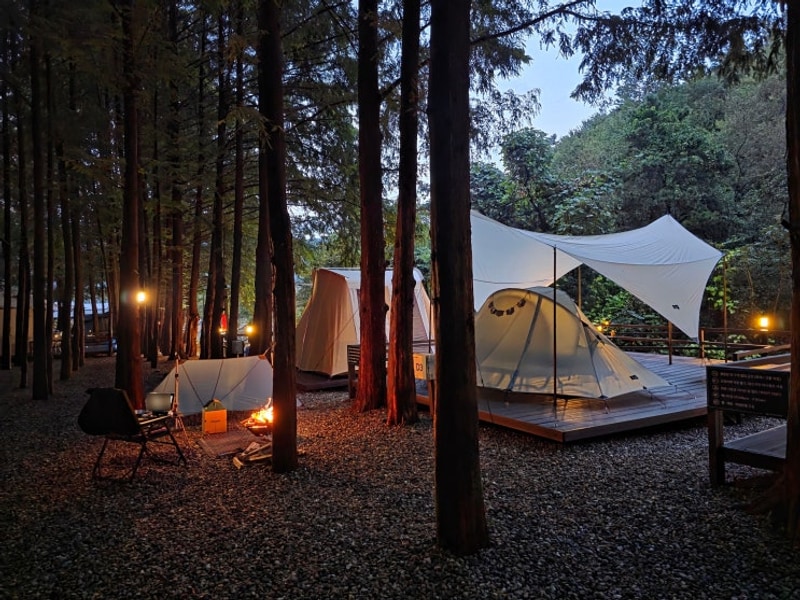 #156.양평 스테이네이처캠핑장_가을솔로캠핑D3(25.9.28~29)