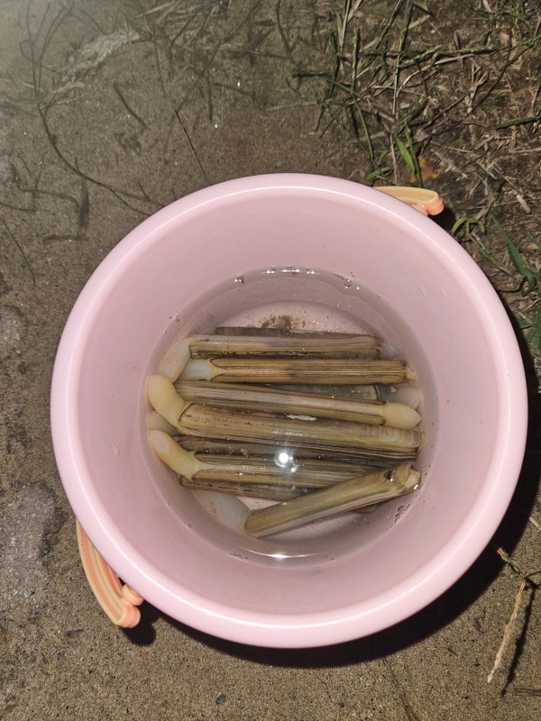 변산해수욕장 야영장을 오랜만에 아이와함께 즐겨봐요