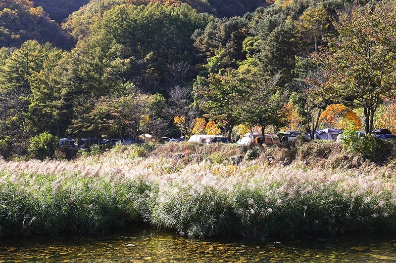 캠프99 시설 사진 18