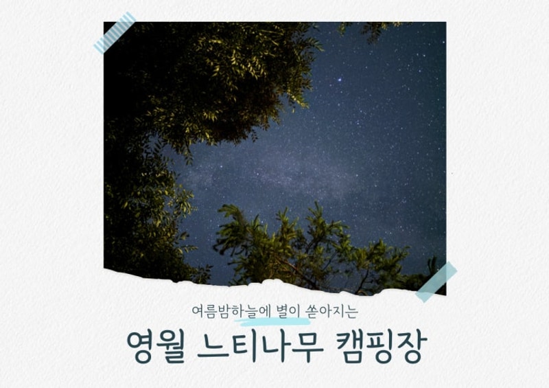 별이 쏟아지는 영월키즈캠핑장 "느티나무캠핑장"