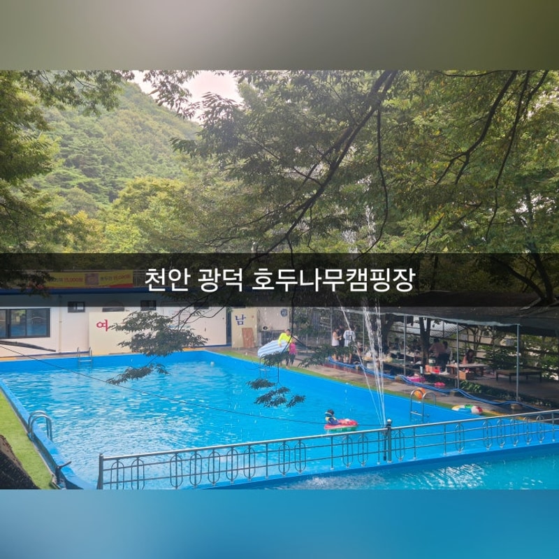 [천안물놀이] 오래된 광덕 물놀이 명소 호두나무캠핑장 평상...