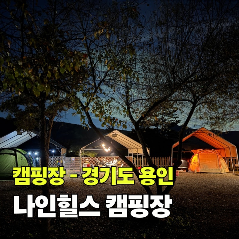 경기도 키즈캠핑장 용인 나인힐스 캠핑장 할로윈 2주차 후기...