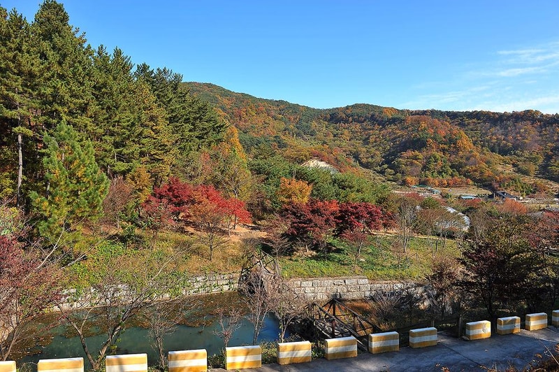 백운산 자연휴양림 야영장 시설 사진 12