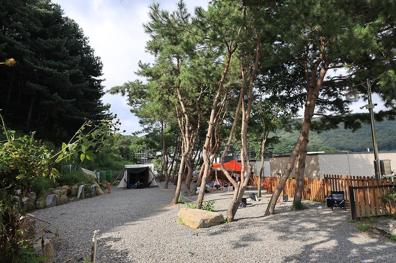 청계산 골든밸리 가족캠핑장 시설 사진 9