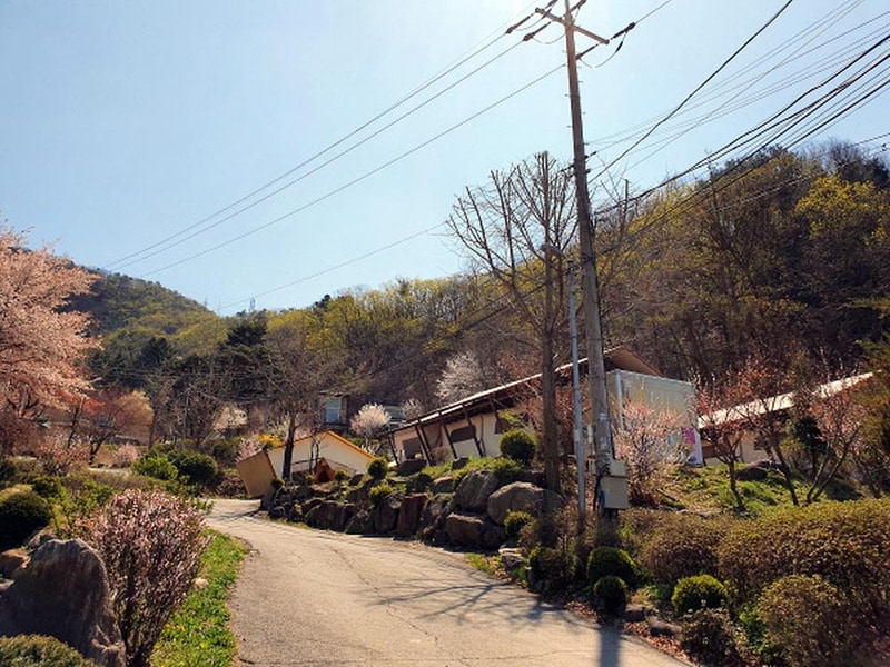 청평원레저타운 시설 사진 47