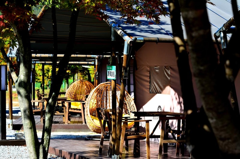 플로렌스 글램핑 & 캠핑 시설 사진 21