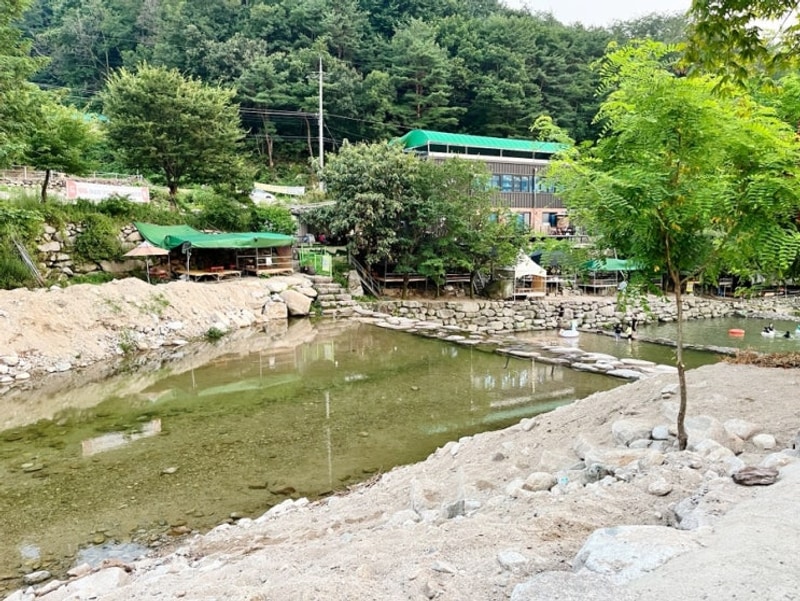 대구근교 계곡추천 취사가능 평상대여 군위솔밭야영장 (애견동반)