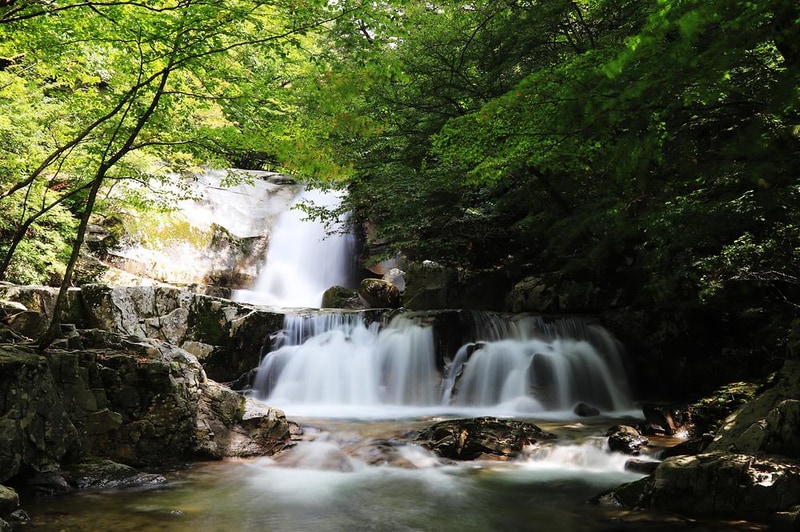 방태산 자연휴양림 캠핑장 시설 사진 1