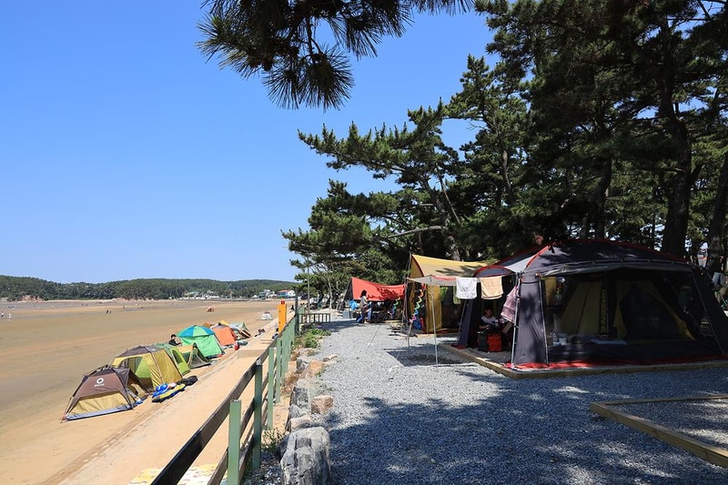 몽산포오토캠핑장 시설 사진 10