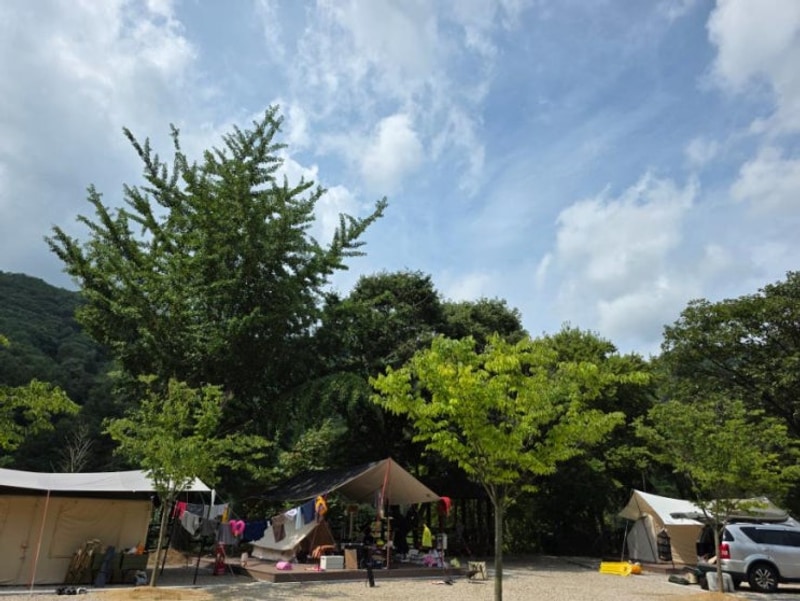 벗어나 별빛 아래 쉬어가기 좋은 감성캠핑장 별의바다 조동캠핑장