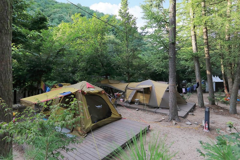 소나무숲아래 시설 사진 5