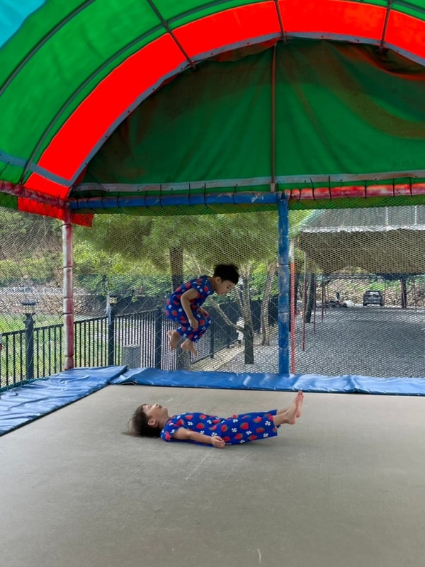 퇴실 하려니 발이 안떨어졌던 경주 그린하우스 캠핑장