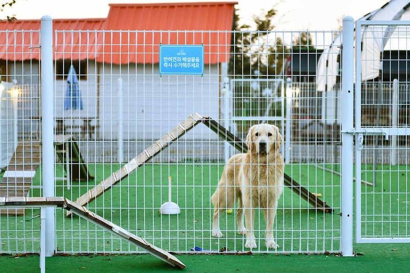 별빛가득 야영장 시설 사진 17