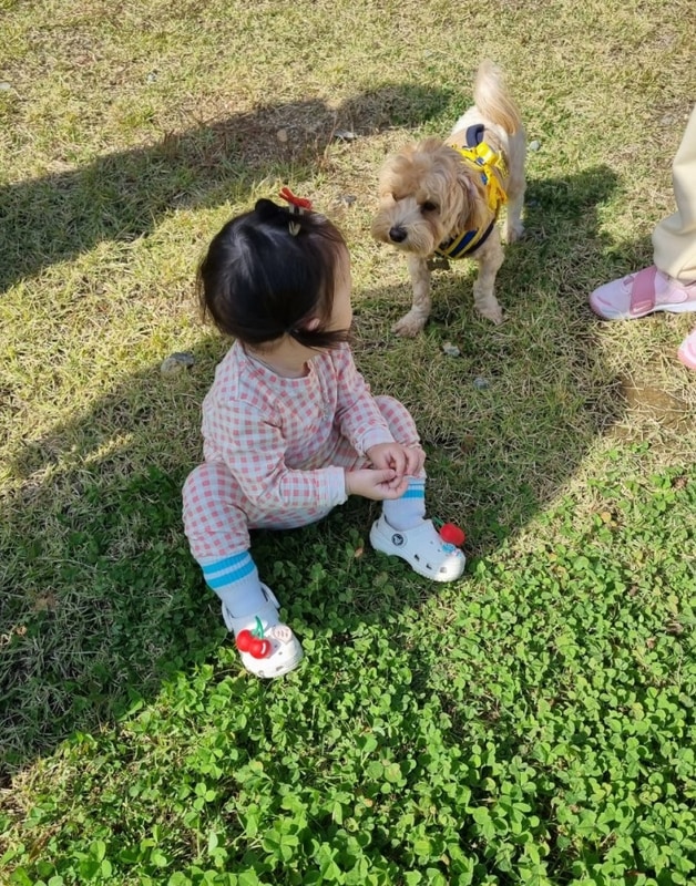 수도권 근교 캠핑장 시흥 여우하우야영장