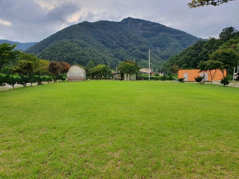 동상 힐링 캠핑장 대표 사진