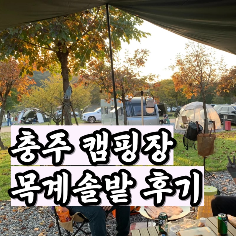 충주 캠핑장 3가족이 함께한 후기 (Feat. 목계솔밭캠핑장)