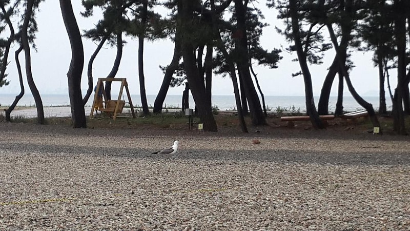 나라펜션캠핑장 시설 사진 8