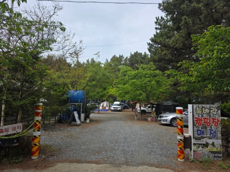 서천캠핑장 솔바람캠핑장 장항송림산림욕장 갯벌체험장 바로 앞