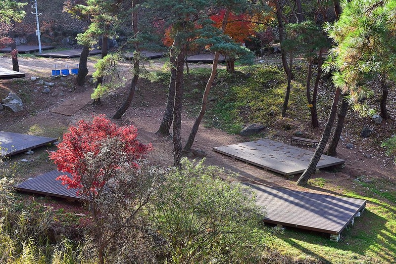 박달재 자연휴양림캠핑장 시설 사진 8