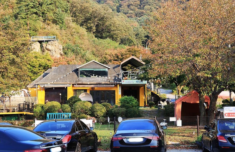 펫밀리애견파크타운 시설 사진 15