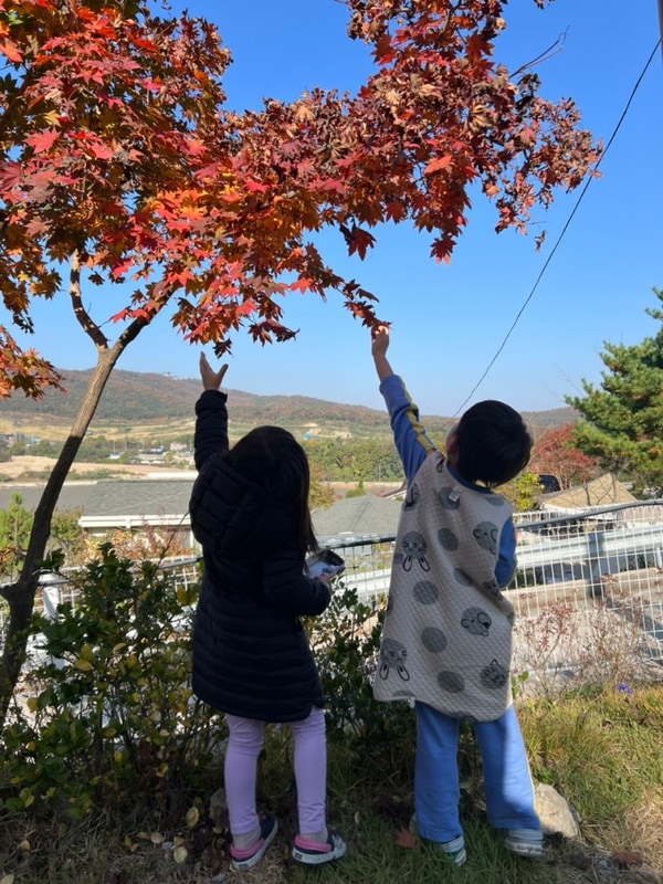 캠핑11월] 강화 하늘정원캠핑장 / 주말 / 1박 / 2가족 / B2, B3...