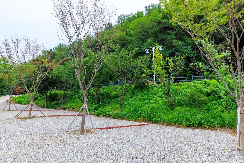 동산오토캠핑장 시설 사진 15