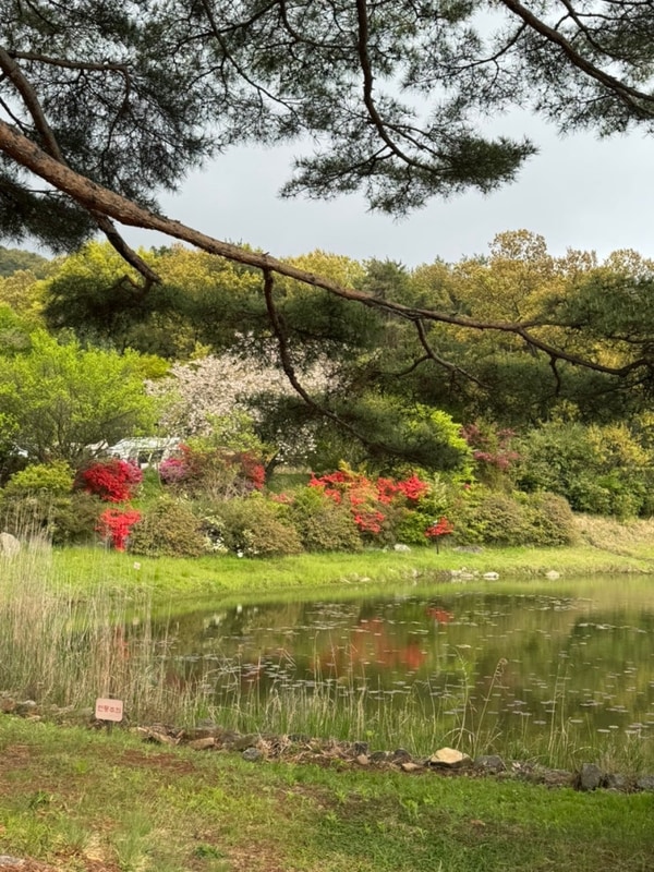 강화도 개별화장실 캠핑장 추천 후기 : 우니메이카 강화점