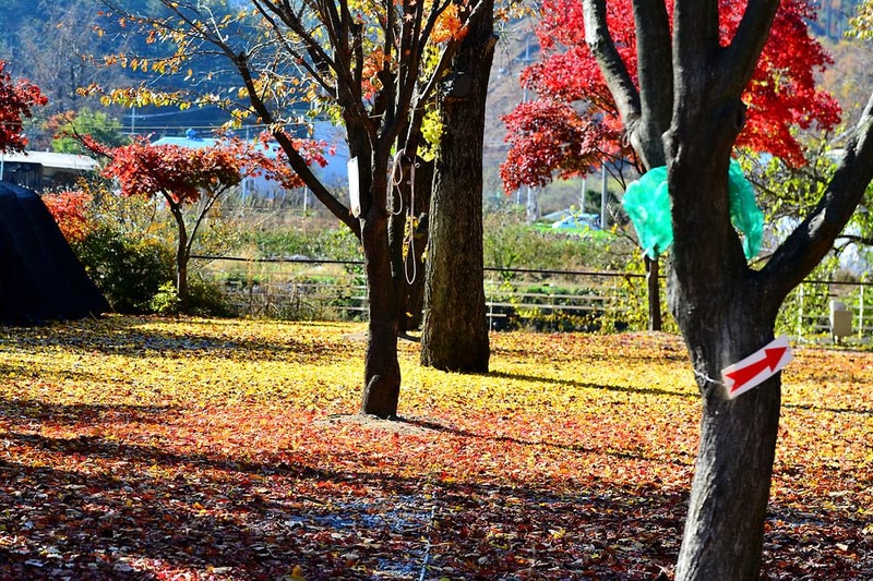 별빛오토캠핑장 시설 사진 11