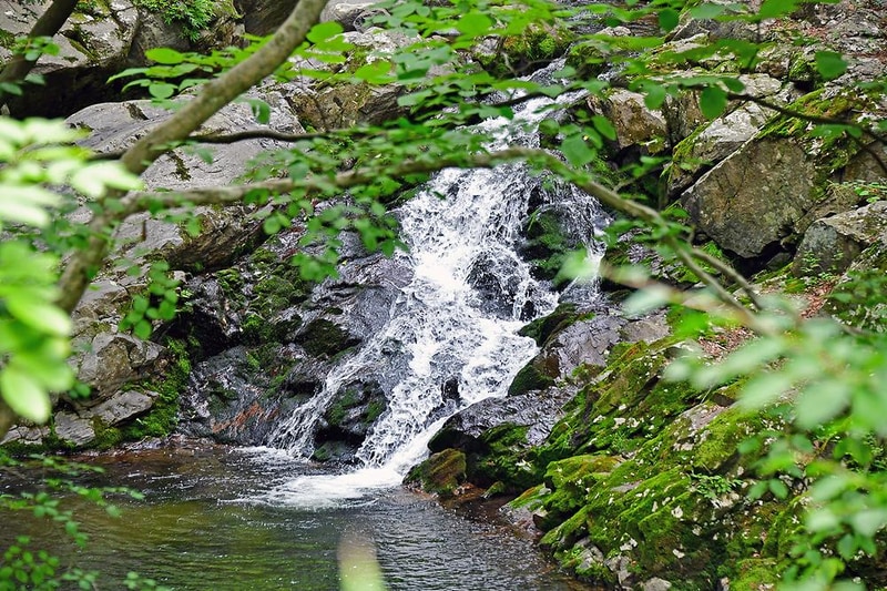 치인야영장 시설 사진 1