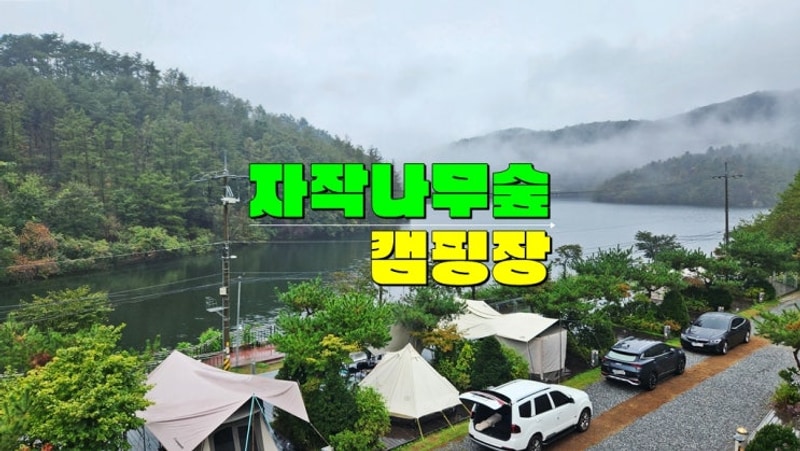 서울 근교 포천캠핑장 · 청계호수 자작나무숲 캠핑장...
