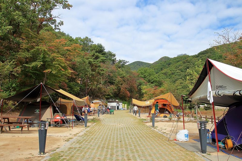 양주시 미술관옆 캠핑장 시설 사진 3