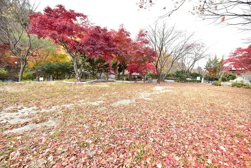 유명산밸리캠핑장 시설 사진 3