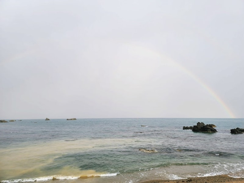 [경북 포항] 블루밍카라반 / 전 객실 동해바다 오션뷰 포항 일출...