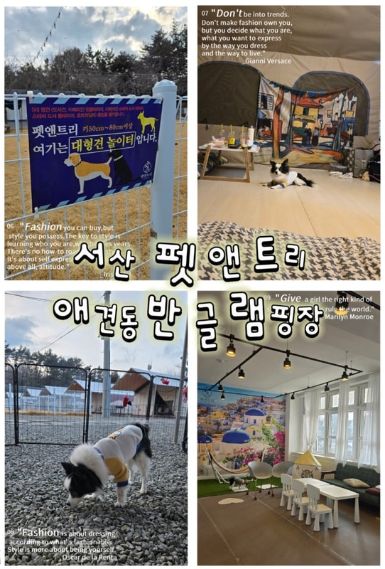 서산 펫앤트리 애견동반당일글램핑 놀거리 많은 애견놀이터...