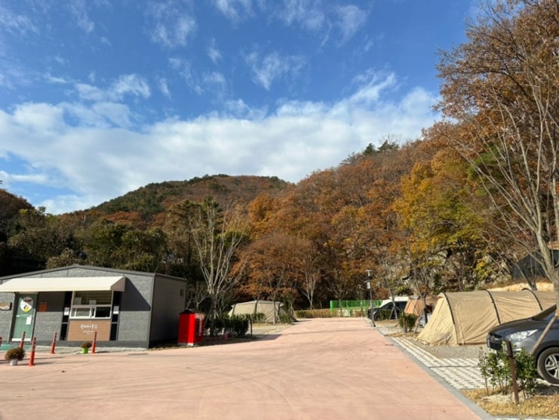 부산근교캠핑장 대운산군립야영장 하늘숲야영장 예약 이용후기