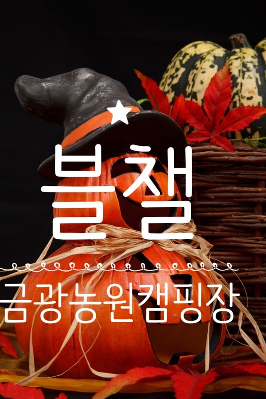 [경기도 안성]금광농원캠핑장 25.10.25 할로윈캠핑<본편>