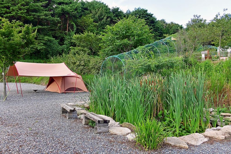 한실관광농원 야영장 시설 사진 6