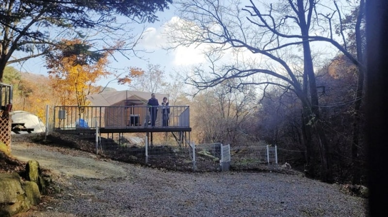 “애견동반 가능! 가을 캠핑 명당, 원주 신림 스테이캠프”