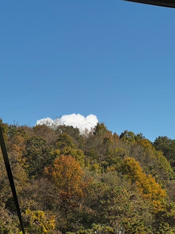 [캠핑#7] 2024.11 괴산 북두칠성캠핑장 두가족존