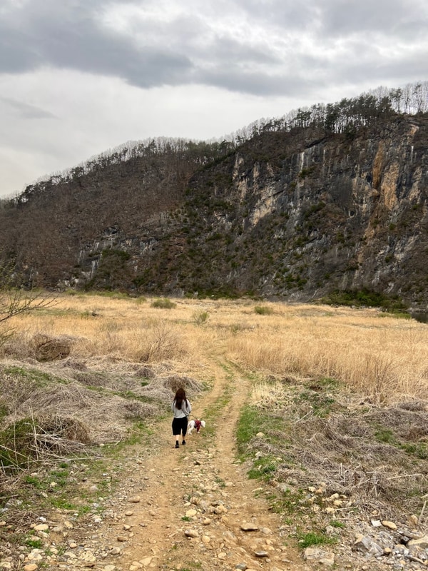 율무네 4월 캠핑_영월한반도캠핑장