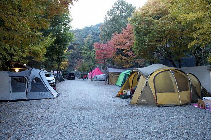 북한산 둥글이네 캠핑 대표 사진