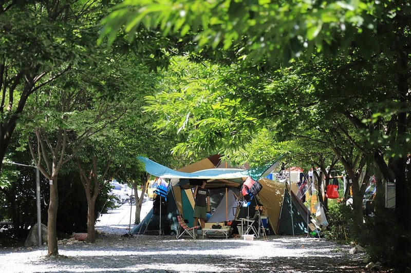 원주두리캠핑장 시설 사진 5